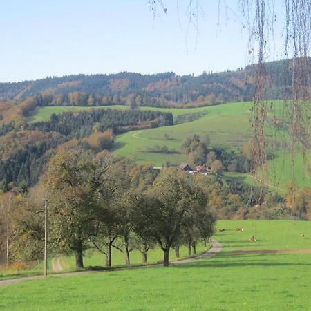 Ferienhaus Hubhof Oberharmersbach Exterior foto