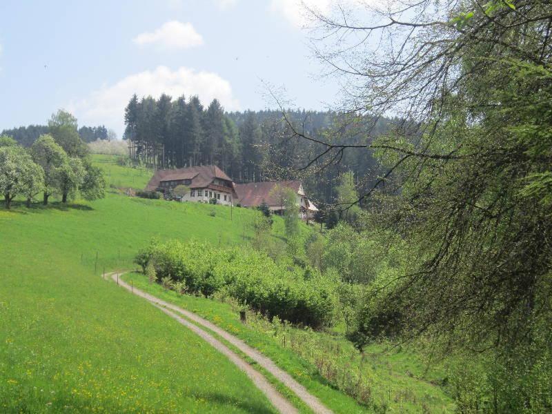 Ferienhaus Hubhof Oberharmersbach Exterior foto